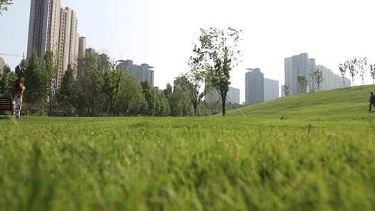 济南高新区金融科创公园，绿色草地小山坡