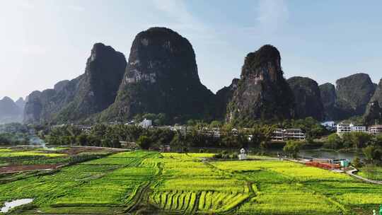 美丽乡村油菜花航拍