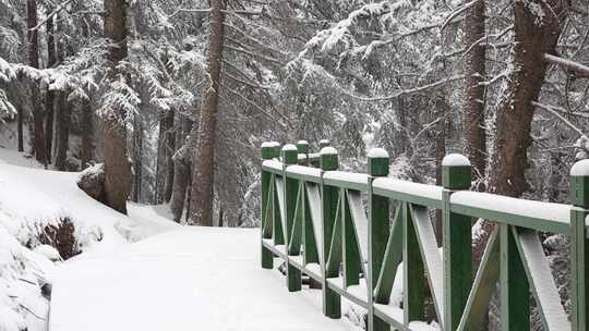 贺兰山金顶雪景视频 (31)