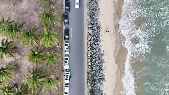 海边公路沙滩海浪椰树林航拍俯瞰视频素材模板下载