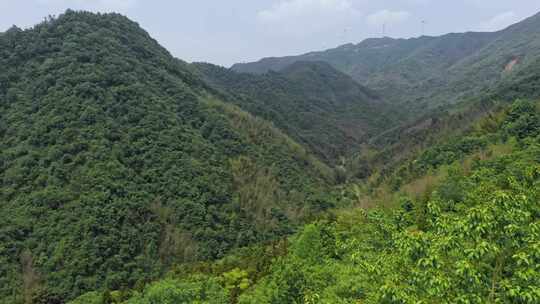 湖北咸宁通城