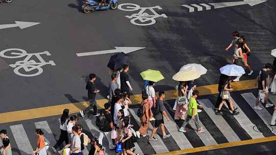 街道交通路口斑马线车流人流