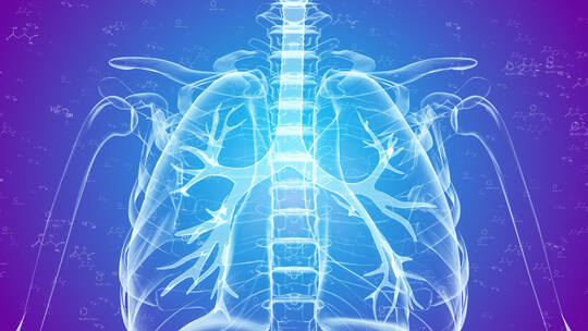 蓝色人体结构医疗背景视频AE模板