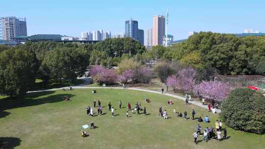 武汉大学校园航拍