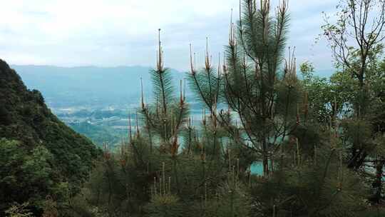 宜昌三峡人家三峡大坝航拍