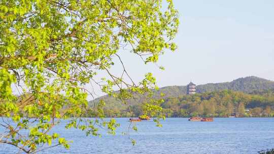 杭州西湖春天风景