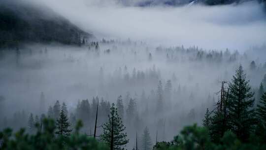 云雾弥漫的优胜美地山谷