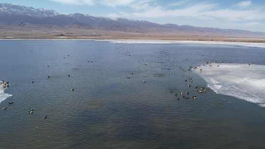 青海青海湖湖面湖水山峰天空航拍视频