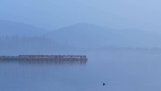 14 杭州 风景 古风 西湖 雾天 山水 水鸟