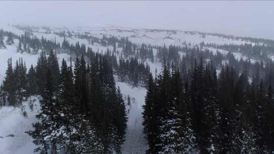 冬季森林暴雪天视频素材模板下载