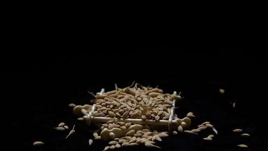 大米 稻壳 稻谷007