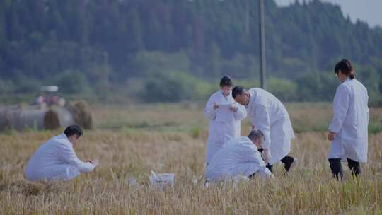 农田土壤研究现代农业育种基地