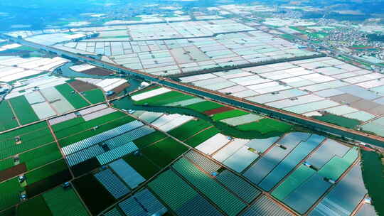 蔬菜大棚航拍