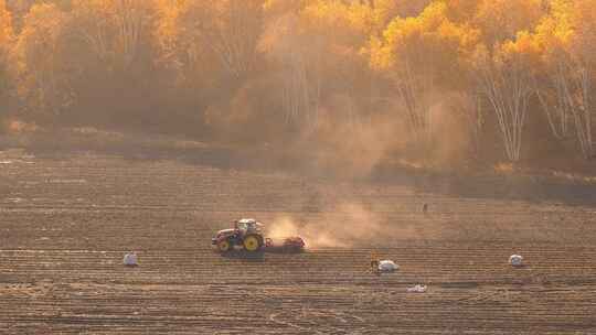 内蒙乌兰布统农民在田地里用机器耕作