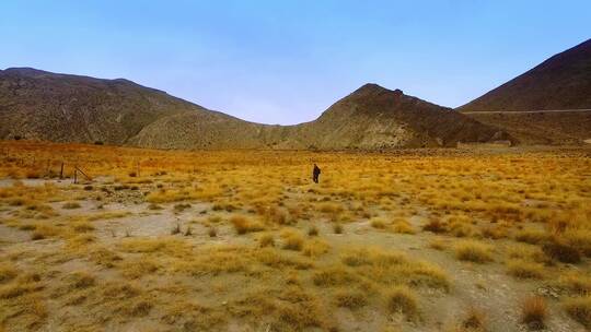 一个人走在一片广阔的西藏平原