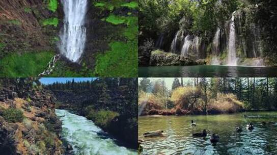 自然生态宣传片 森林瀑布池塘中鸭子风景素材
