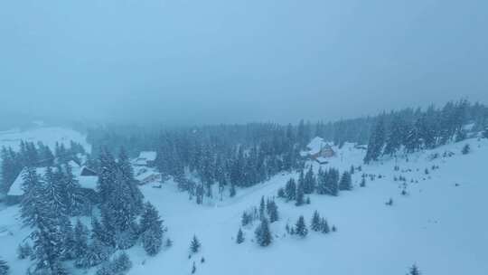 雪，冰冻，森林， Fpv