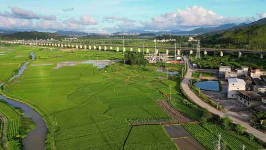 高架桥下的乡村田野风景