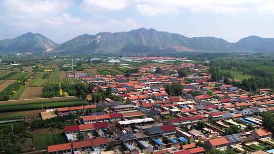 夏天新农村建设乡村振兴耕地麦田农村公路