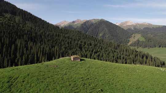 新疆琼库什台森林雪山航拍