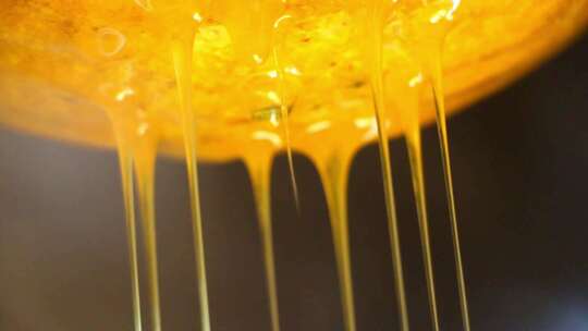蜂蜜流淌特写野生蜂蜜土蜂蜜蜂农采蜜