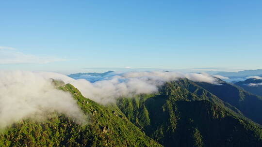 清晨鸟瞰山顶上流动的云雾视频素材模板下载