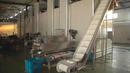 食品加工厂实拍 自动化生产线 面食加工