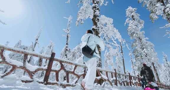 高清实拍瓦屋山冬天雪景雪山森林