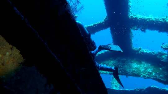 潜水员潜水海底珊瑚礁浮潜珊瑚海洋生物海水