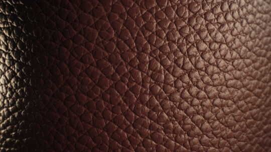 Extreme Macro正品棕色皮革背视频素材模板下载