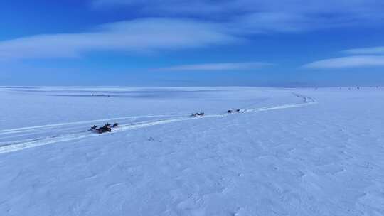 鄂温克草原锡尼河苏木雪地赛马