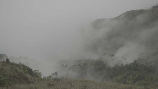 春天，信宜钱排春雨，烟雨大山乡村云雾缭绕