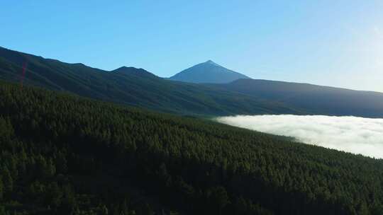 泰德山，特内里费岛，树木，云