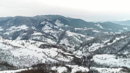 覆盖着积雪和松树的山形浮雕