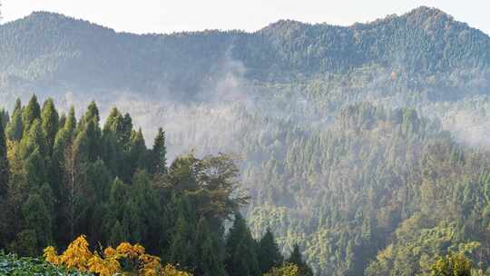 4k航拍森林云海大好河山