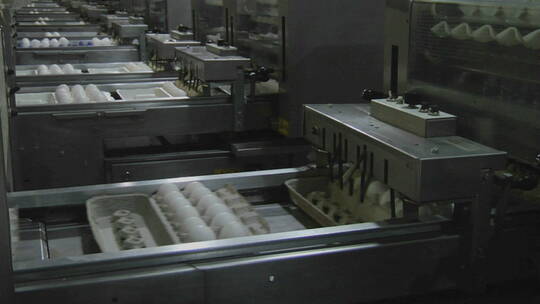 自动化机械在工厂里加工鸡蛋