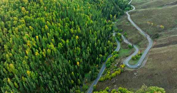 绿色山谷中的公路