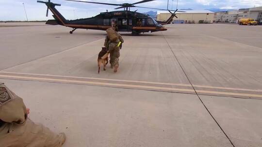 巡逻队成员带警犬走上直升机视频素材模板下载