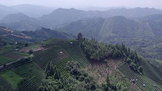 4k 航拍柳州三江布央仙人茶山茶山风景区