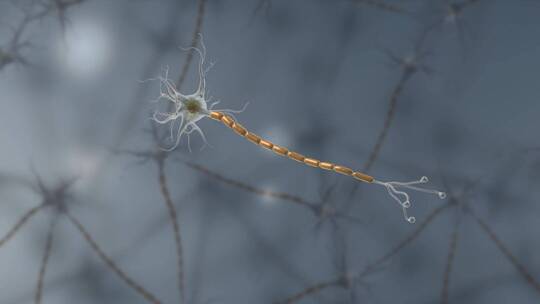 生物细胞神经元神经传导医学三维动画