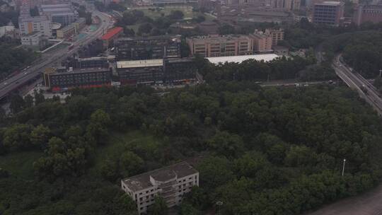 航拍深圳城市园林绿化