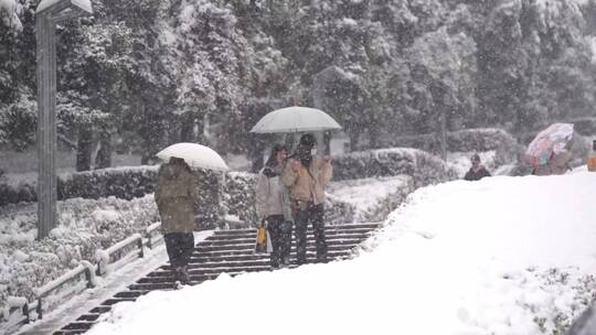 下大雪公园里休闲的人们-雪景