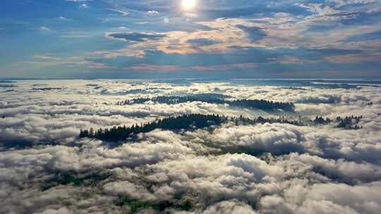 森林阳光云海森林云雾缭绕树林山大自然山峰