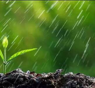 下雨声落雨声滴答声雨声下雨哒哒大雨暴雨