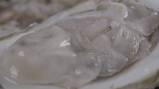 牡蛎生蚝LOG视频素材视频素材模板下载