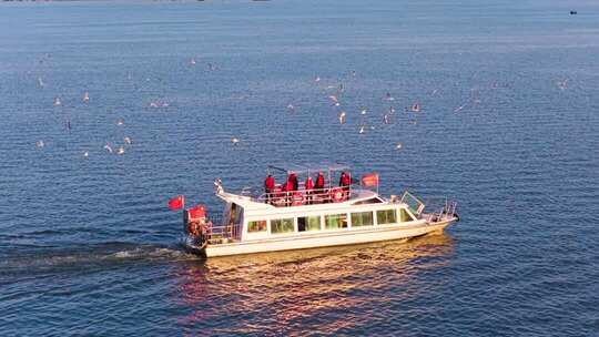 航拍滇池游船与海鸥