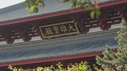 大雄宝殿寺庙上海嘉定南翔云翔寺中式建筑