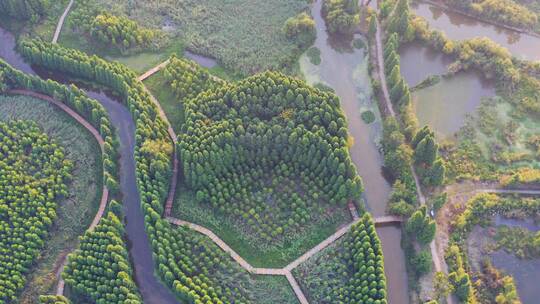 南滇池国家湿地公园