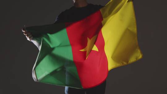 球迷挥舞喀麦隆国旗视频素材模板下载