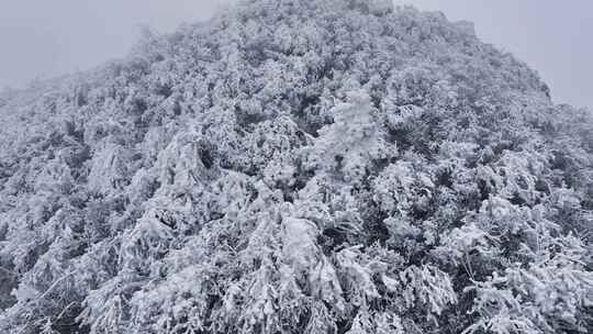 河南老君山冬季雪后云海大气航拍